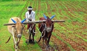 kisan