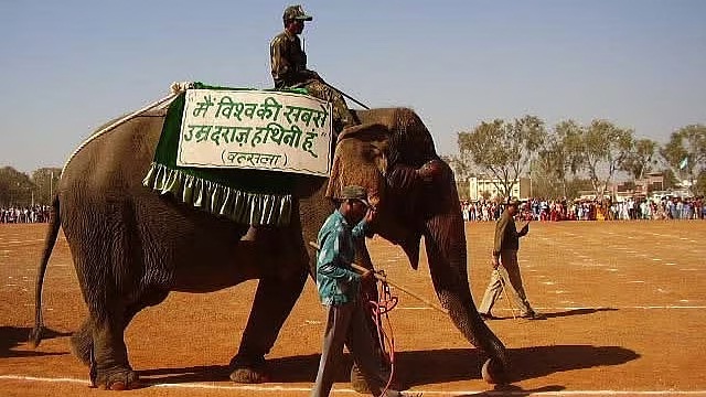 world highest age elephant vatsala panna tiger reserve