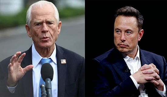 navaro musk