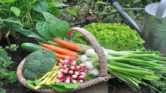 vegetables health tips