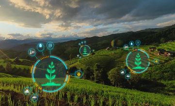 food waste recycle gold