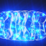 Motion Found in Cells Could