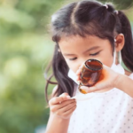 Toxic Cough Syrup Deaths India Bans1