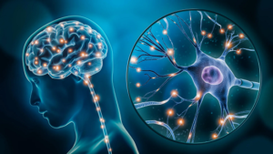 artificial neuronce