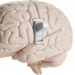 brain switch