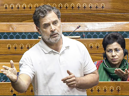 rahul gandhi in loksabha