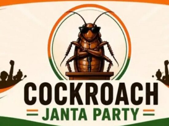 conkroch janta party